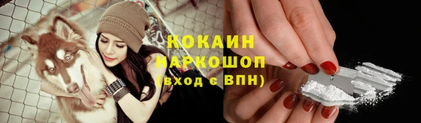 гашик Баксан