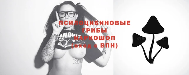гашик Баксан