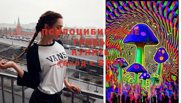 гашик Баксан