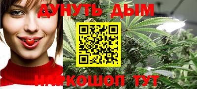 шишки Кимры