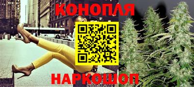 шишки Кимры