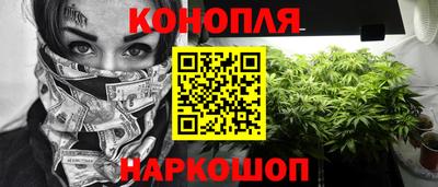 шишки Кимры