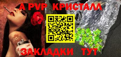 шишки Кимры