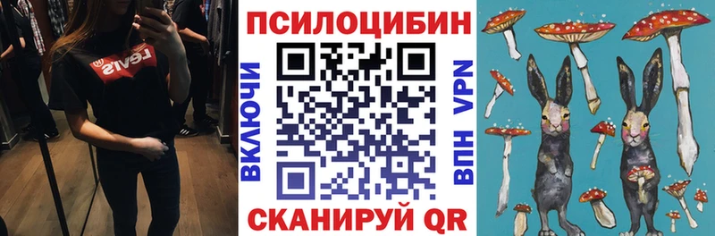 даркнет клад Балтийск Галлюциногенные грибы прущие грибы