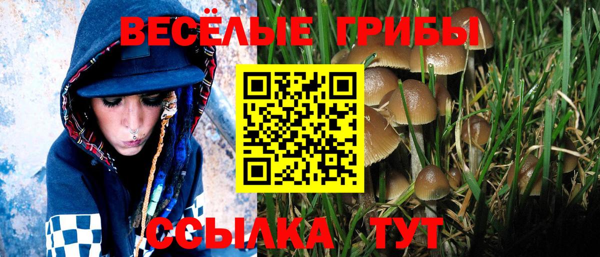 Балтийск  Галлюциногенные грибы мухоморы  Вход с VPN  Псилоцибиновые грибы мицелий 